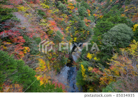 靜岡縣灰原郡川本町 靜岡縣灰原郡川本町 85034935