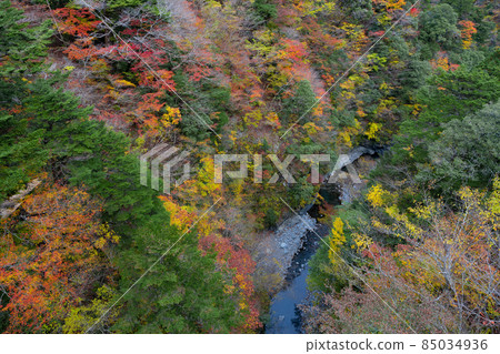 靜岡縣灰原郡川本町 85034936
