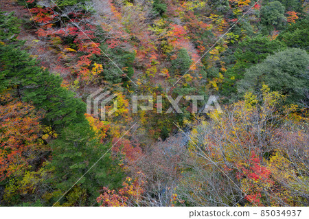 靜岡縣灰原郡川本町 靜岡縣灰原郡川本町 85034937