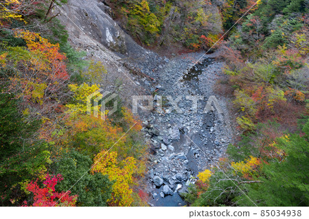 靜岡縣灰原郡川本町 85034938