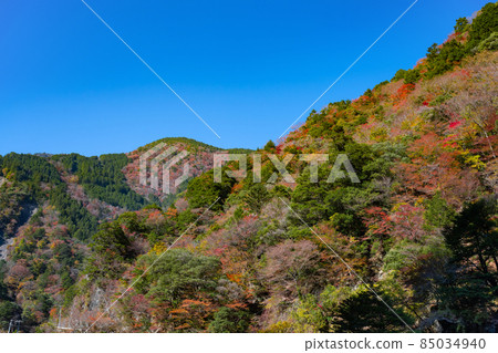 靜岡縣灰原郡川本町 靜岡縣灰原郡川本町 85034940