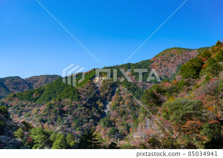 靜岡縣灰原郡川本町 靜岡縣灰原郡川本町 85034941