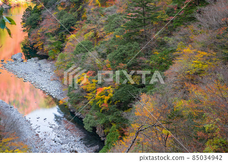 靜岡縣灰原郡川本町 靜岡縣灰原郡川本町 85034942