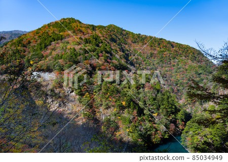 Kawanehon-cho, Haibara-gun, Shizuoka Prefecture 85034949