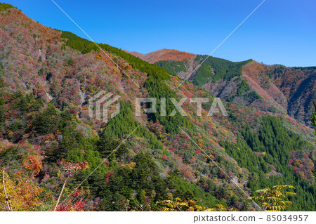 靜岡縣灰原郡川本町 靜岡縣灰原郡川本町 85034957