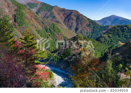 靜岡縣灰原郡川本町 靜岡縣灰原郡川本町 85034959