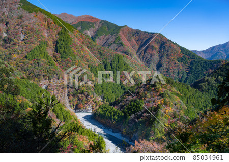 靜岡縣灰原郡川本町 85034961