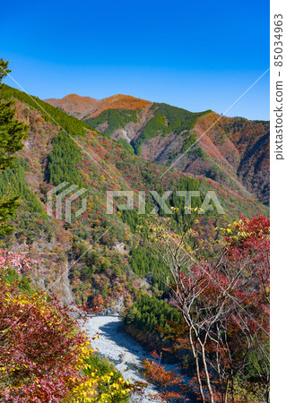 靜岡縣灰原郡川本町 靜岡縣灰原郡川本町 85034963