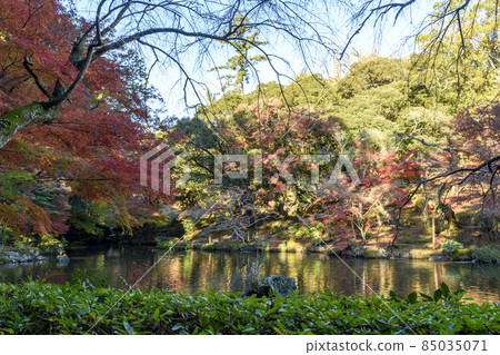 Naritasan Park Ryuju no Ike Autumn Leaves 85035071