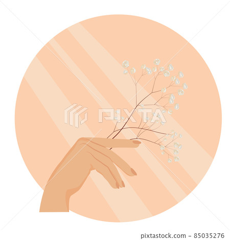 A woman's hand holds a Gypsophila flower. Vector stock illustration. Delicate logo in pastel colors. Isolated on a white background. A woman's hand holds a Gypsophila flower. Vector stock illustration. Delicate logo in pastel colors. Isolated on a white background. 85035276