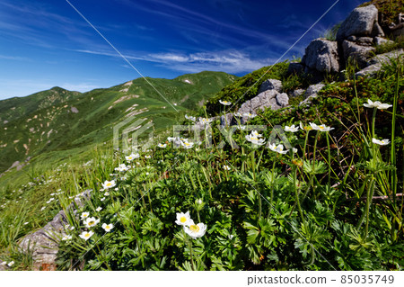 View of Hakusanichige and Mt. Itoh on the Asahi mountain range ridgeline View of Hakusanichige and Mt. Itoh on the Asahi mountain range ridgeline 85035749