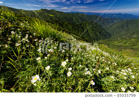 朝日山脈脊線上的白山一社區 85035799