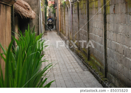 Back alley (Ubud / Bali / Indonesia) 85035820