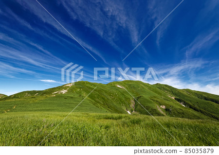 夏季朝日山脈的草原和伊藤山景色 85035879