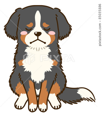 沮喪的伯恩山犬 85035886