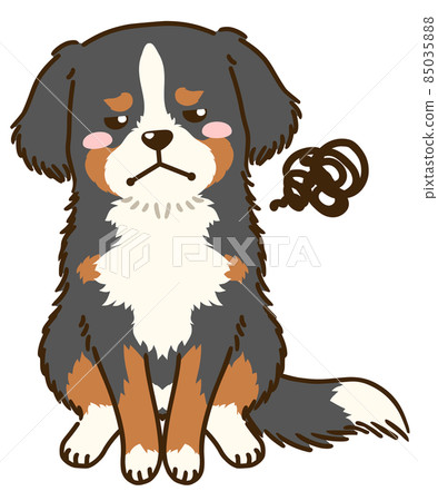Dissatisfied Bernese Mountain Dog 85035888