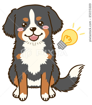 Bernese Mountain Dog comes up 85035889