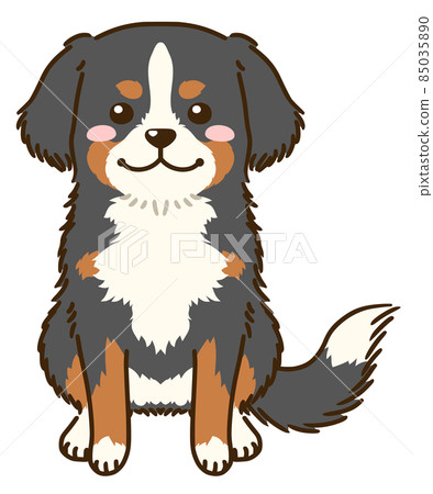 伯恩山犬 85035890