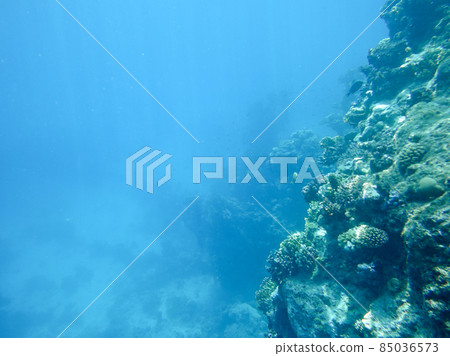 Underwater reef Underwater reef 85036573