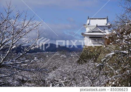 "Tsuruyama Park (Tsuyama Castle Toe)", one of the 100 best cherry blossom viewing spots in Tsuyama City, Okayama Prefecture: Bichu turret in a snowy landscape 85036623