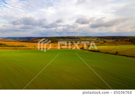 Aerial view of bright green agricultural field in early spring. 85036768