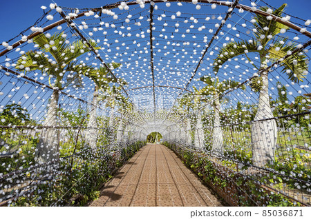 沖繩東南植物園 85036871