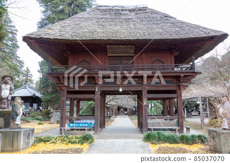 Morinji Sanmon, Tatebayashi City, Gunma Prefecture 85037070