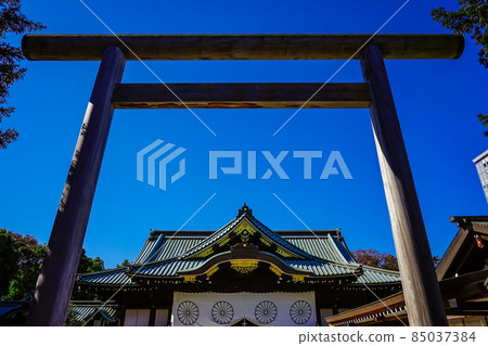 秋天的中門鳥居靖國神社（東京都千代田區） 85037384