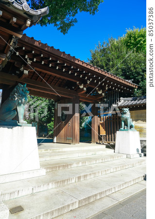秋天的南門靖國神社(東京都千代田區) 秋天的南門靖國神社(東京都千代田區) 85037386