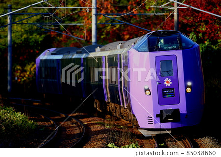 富良野薰衣草特快 85038660