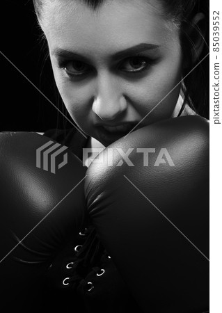 young female boxer young female boxer 85039552