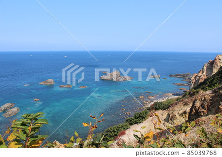 Shingon Cape 85039768