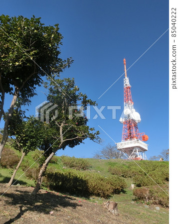 從電視塔莊平平（神奈川縣平塚市高麗山） 85040222