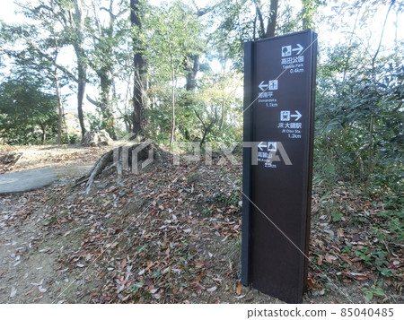 From the Koraiyama / Takada Park hiking course (Hiratsuka City, Kanagawa Prefecture) 85040485