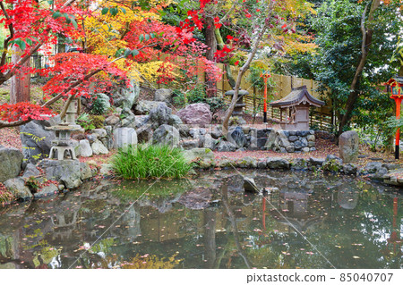Beautiful autumn leaves and pond at Yoshida Shrine (Sakyo Ward, Kyoto City) Beautiful autumn leaves and pond at Yoshida Shrine (Sakyo Ward, Kyoto City) 85040707
