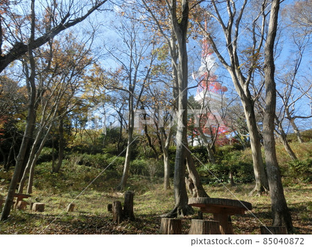 從電視塔/高田公園遠足路線休息區(神奈川縣高賴山/平塚市) 從電視塔/高田公園遠足路線休息區(神奈川縣高賴山/平塚市) 85040872