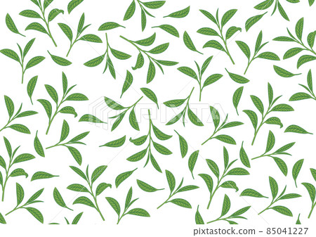 茶葉,葉子圖案,白色背景 茶葉,葉子圖案,白色背景 85041227