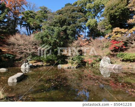 野毛山動物園/步行區池塘（神奈川縣橫濱市） 85041228