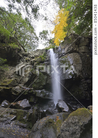 Ayu's Falls (Sumoto City, Hyogo Prefecture) Ayu's Falls (Sumoto City, Hyogo Prefecture) 85041438