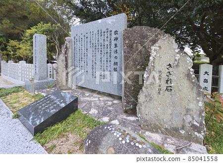 Izanagi Jingu Sazareishi (Taga, Awaji City, Hyogo Prefecture) Izanagi Jingu Sazareishi (Taga, Awaji City, Hyogo Prefecture) 85041558