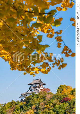秋季國寶犬山城<愛知縣犬山市> 85042048