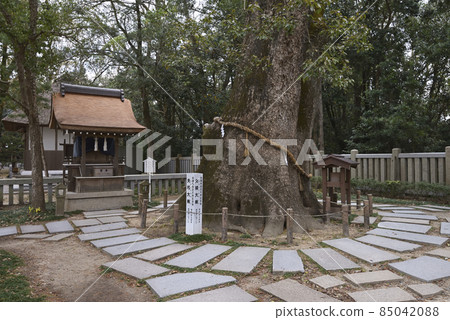 Izanagi神宮夫婦Okusu（兵庫縣淡路市多賀） 85042088