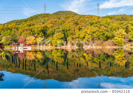 秋綠碼頭春日井 <愛知縣春日井市> 85042118