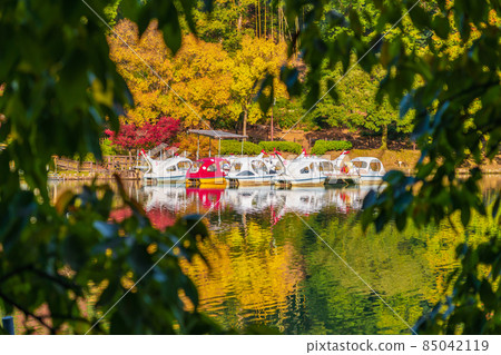 秋綠碼頭春日井 <愛知縣春日井市> 85042119