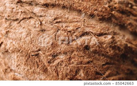 Macrophotography texture of coconut fruit. Food photography Macrophotography texture of coconut fruit. Food photography 85042663