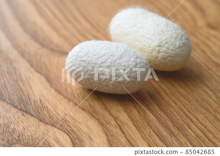 蠶 蛹 蟲繭 85042685