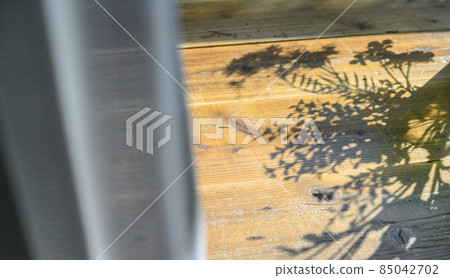 decking, table, sunshine filtering through foliage 85042702