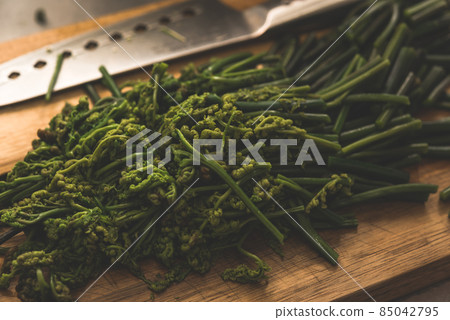 Warabi Warabi 85042795