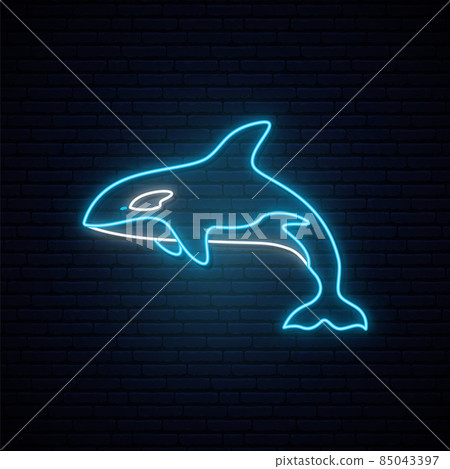 whale neon sign