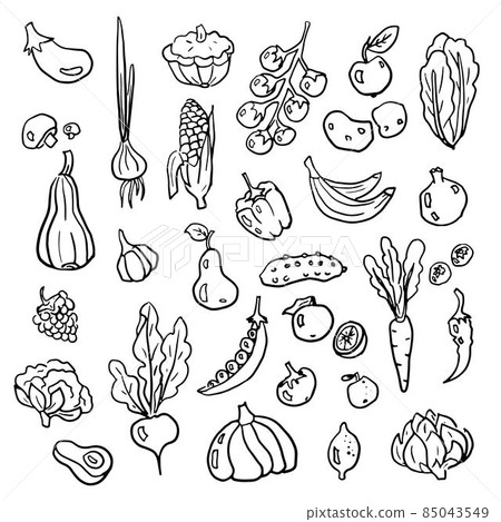 Fruits and vegetables hand drawn doodle collection. Fruits and vegetables hand drawn doodle collection. 85043549